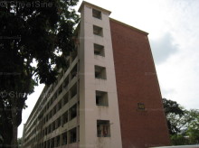 Blk 48 Stirling Road (S)141048 #376822